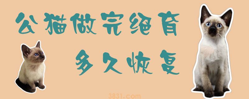 公猫做完绝育多久恢复(图1)