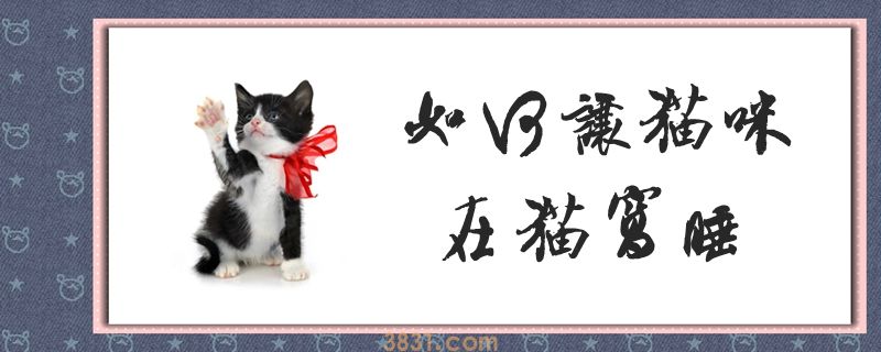 如何让猫咪在猫窝睡(图1)