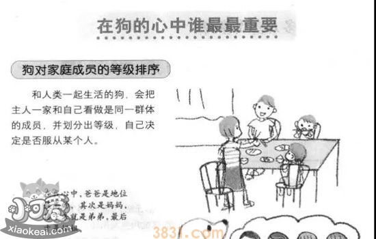 狗的阶级制度 狗群之间保持和平的小秘密(图2)