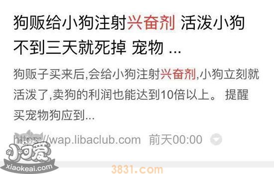 买狗的时候怎么挑选 买狗时就选“最活泼最壮”的做法对吗(图3)