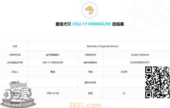 查狗狗的血统怎么查 真假“双血统”辨别法(图4)