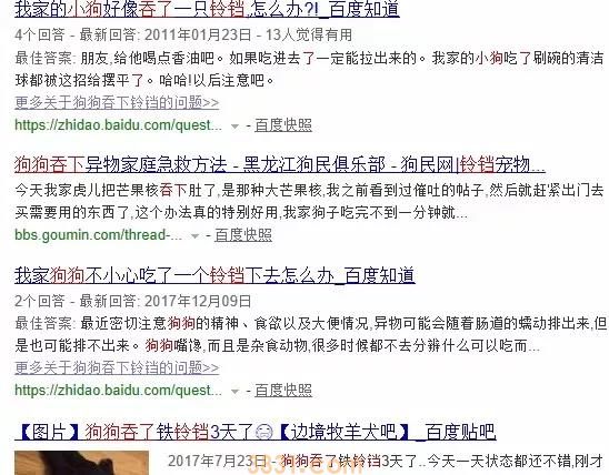 给狗狗选择玩具要注意什么 这六点你一定要知道(图3)