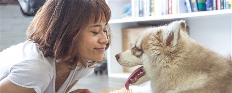 养狗证怎么办理要钱吗 办狗证的流程其实很简单(图1)