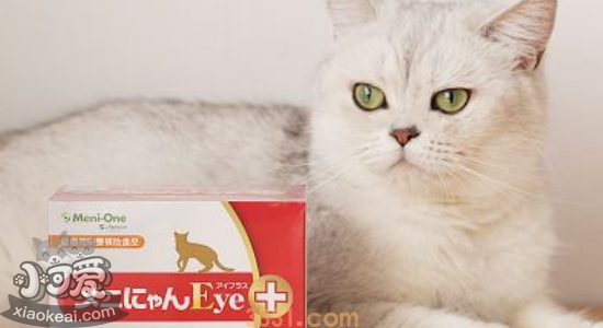 猫吃赖氨酸的好处 猫咪一天该吃多少?(图1)