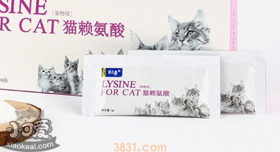 猫吃赖氨酸的好处 猫咪一天该吃多少?(图2)