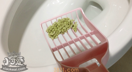 水晶猫砂和豆腐猫砂哪个好 看完你就知道了!(图2)