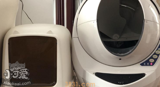 猫砂盆怎么选 开放式的好还是全封闭的好(图2)