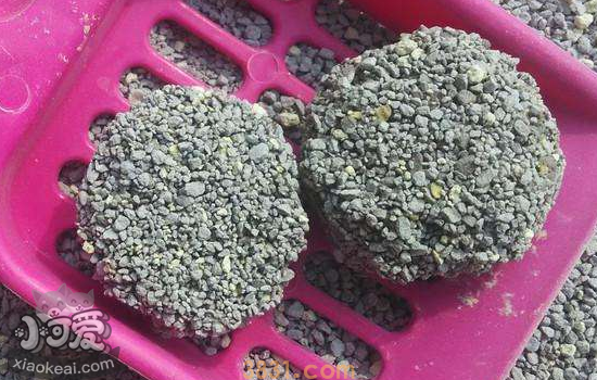豆腐猫砂和膨润土的区别 选择哪个更合适呢?(图2)