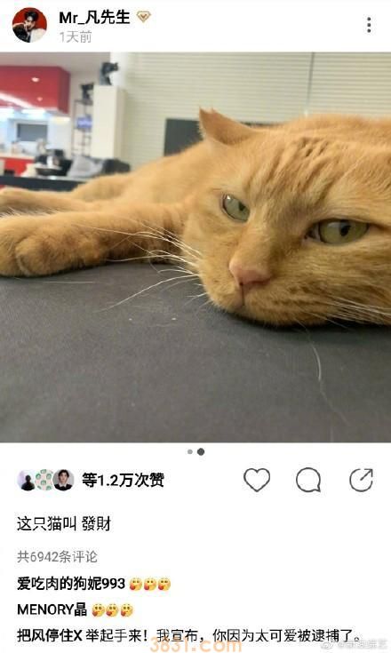 吴亦凡的宠物叫什么?这些明星的宠物名字也太接地气了吧(图2)