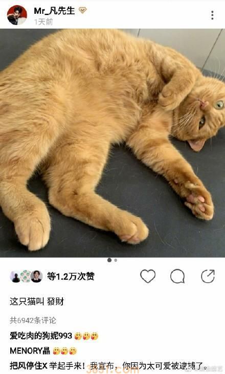 吴亦凡的宠物叫什么?这些明星的宠物名字也太接地气了吧(图1)