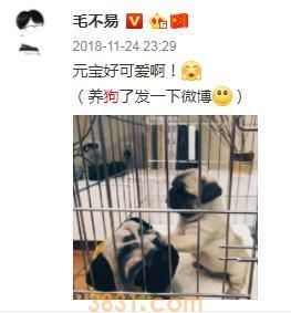 吴亦凡的宠物叫什么?这些明星的宠物名字也太接地气了吧(图8)