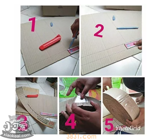 猫抓板自制 简单又方便!(图2)