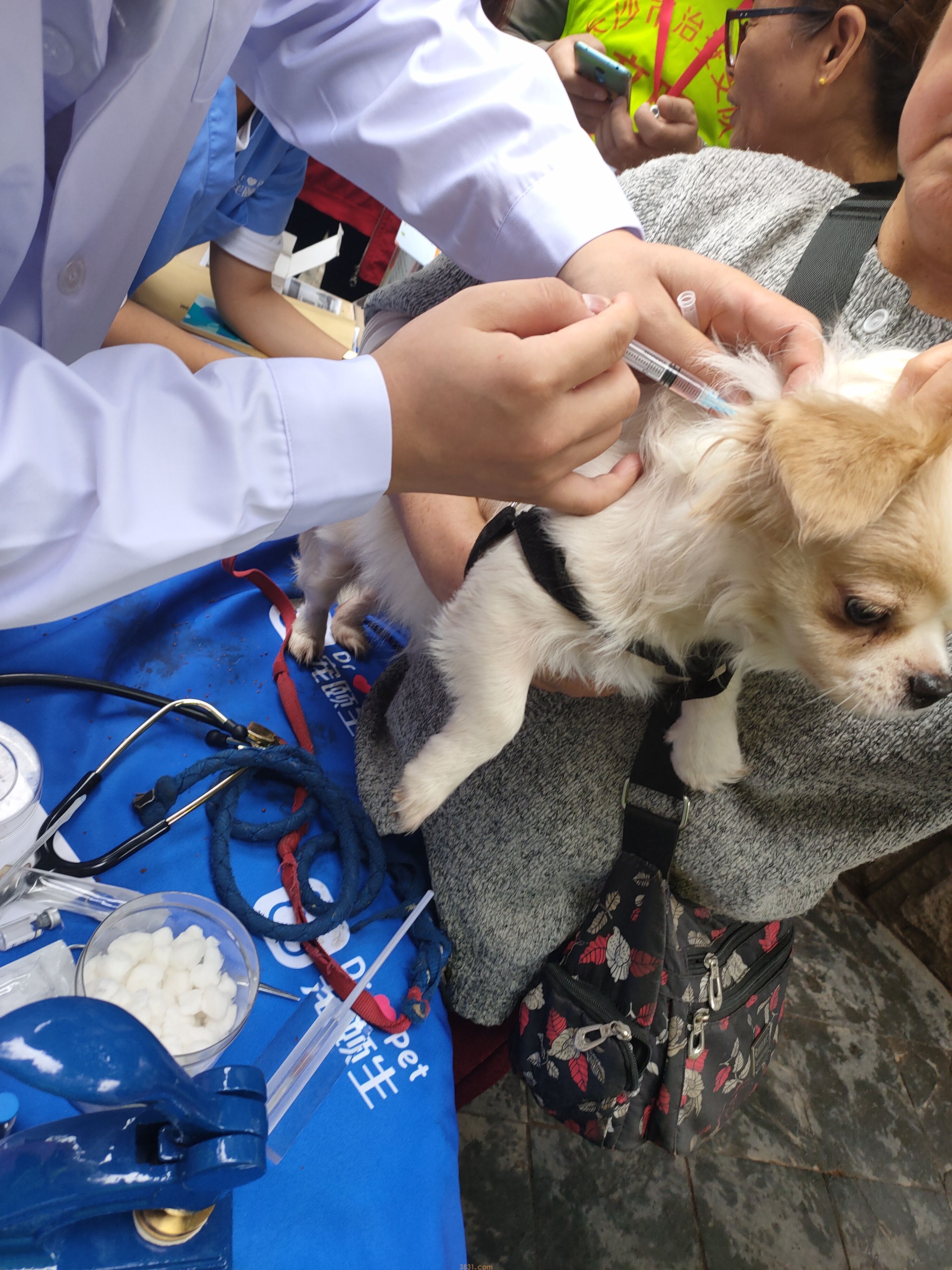 长沙雨花区文明养犬进社区便民服务活动点出炉啦!(图2)