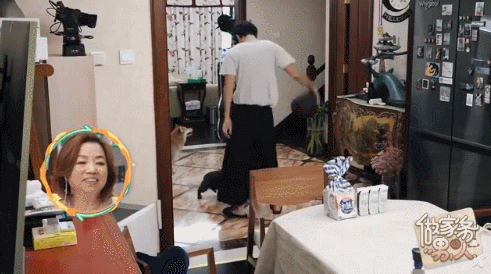 袁弘被自家狗咬? 养狗的烦恼明星也躲不掉!(图1)