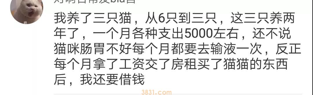 养狗需要多少钱? 在美国养狗居然是负债?(图8)