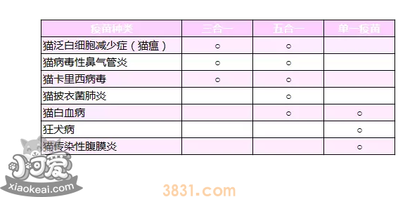 小猫需要打哪些疫苗 看这一篇就够了(图1)