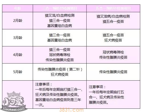 小猫需要打哪些疫苗 看这一篇就够了(图2)