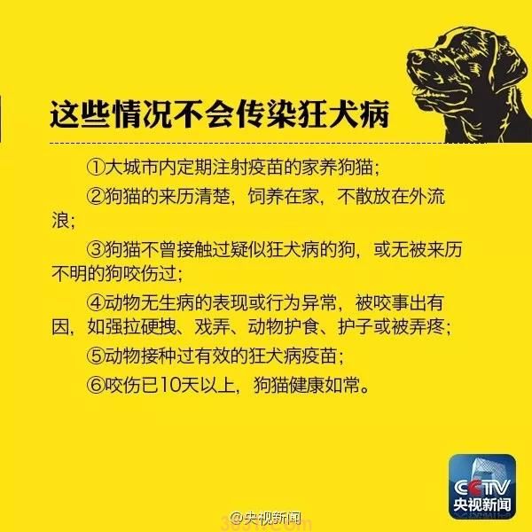 狗咬没有破皮有点红用打针吗 央视官方教你如何判断!(图1)