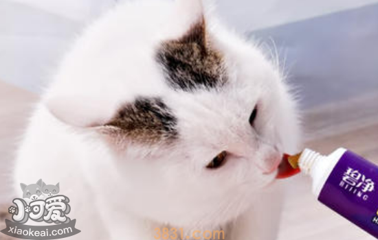 猫吃营养膏好吗 有什么作用(图1)