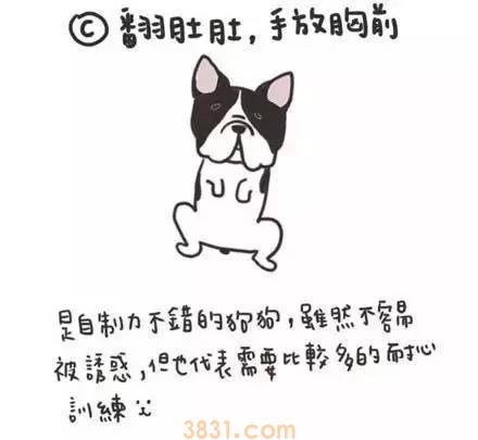 狗狗睡姿代表什么意思 快去观察你家狗狗!(图3)