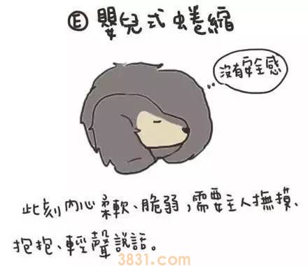 狗狗睡姿代表什么意思 快去观察你家狗狗!(图7)