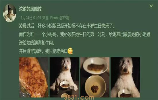 博主宇芽被家暴 家暴男还虐狗!真是罪不可赦!(图7)
