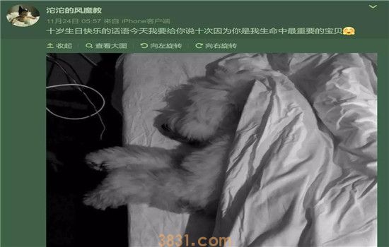 博主宇芽被家暴 家暴男还虐狗!真是罪不可赦!(图8)