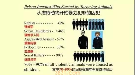 博主宇芽被家暴 家暴男还虐狗!真是罪不可赦!(图14)