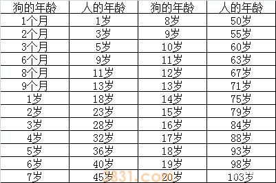 博美犬八个月相当于人的多少岁 你知道狗和人的年龄换算吗(图1)