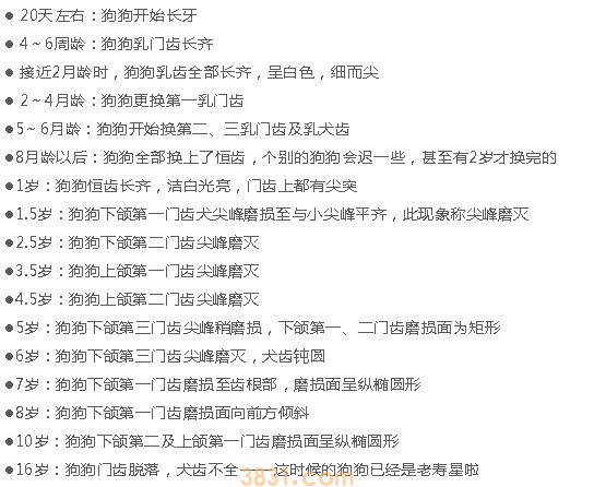 狗有恒牙乳牙吗 看完你就知道了!(图2)