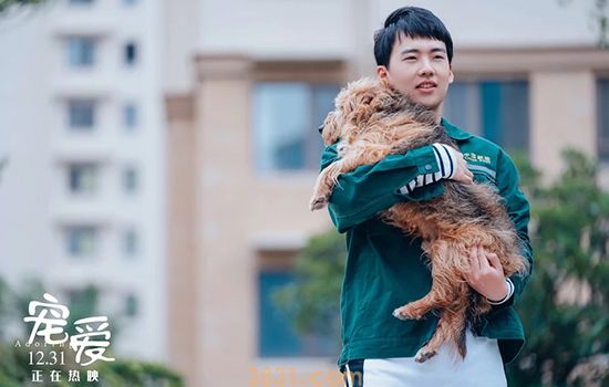 宠爱里的狗狗品种 哪一款是你心水的?(图1)