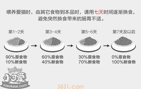 换猫粮怎么过渡 猫粮更换是要注意什么(图1)