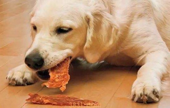 博美犬有泪痕怎么办,如何去除(图2)