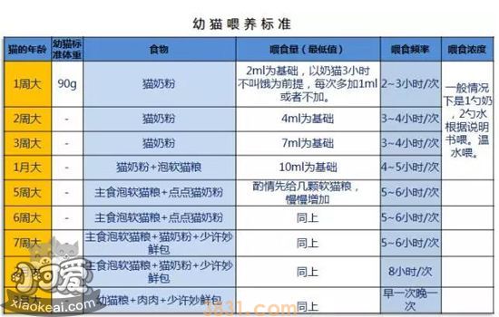 幼猫喂养指南 最全幼猫喂养攻略(图1)