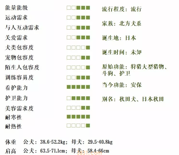 秋田犬起源 秋田犬的故事(图2)