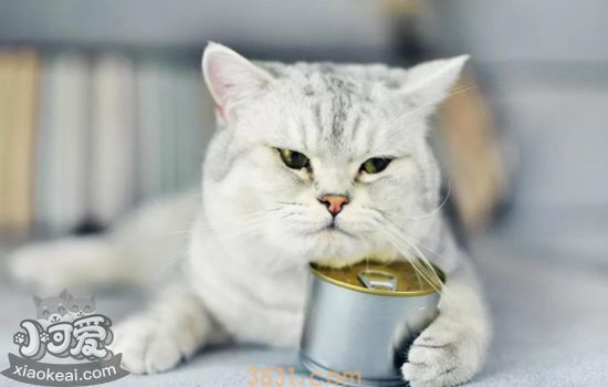 猫罐头瘪了能不能吃 猫罐头有讲究(图2)