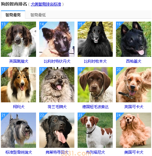 狗狗智商排名前50 这些狗狗真的太聪明了!(图2)