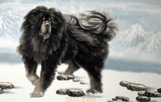 藏獒认主人吗 藏獒会服从于主人吗(图1)
