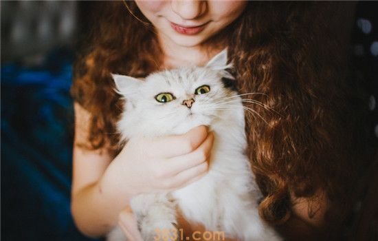 猫咪为啥老咬主人的脚 猫咪咬主人的脚是饿了吗(图2)