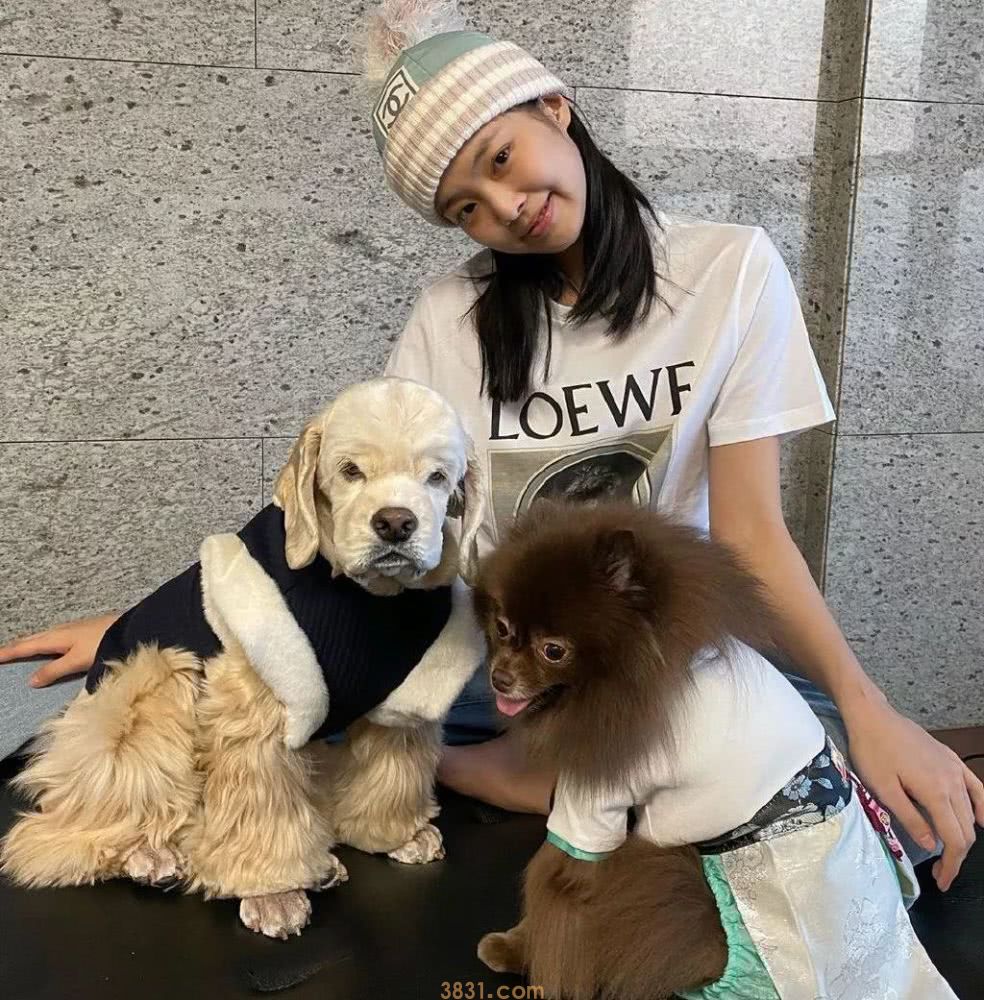 金智妮的狗是什么狗 金智妮的狗叫什么(图1)