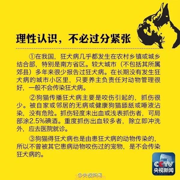 被猫抓需要打几针 狂犬疫苗并不是只有一针(图2)