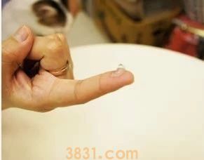 怎么给猫刷牙齿 给猫刷牙需要掌握技巧!(图4)