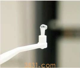 怎么给猫刷牙齿 给猫刷牙需要掌握技巧!(图12)