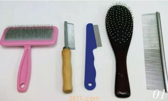 给猫梳毛哪种梳子好 梳毛工具要对 方法也要对(图1)
