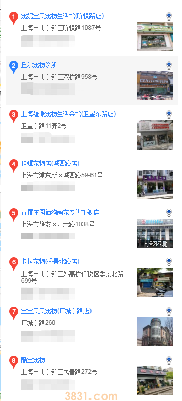 上海怎么买吉娃娃(图2)