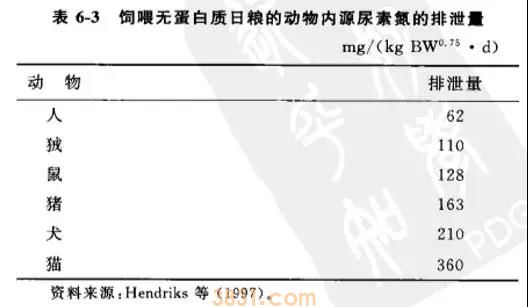 猫吃高蛋白的食物好吗 猫高蛋白饮食的常见四大误区(图2)