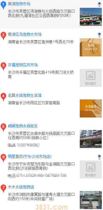 边境牧羊犬在哪买 边境牧羊犬在什么地方买(图1)