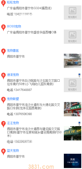 普宁哪里有边境牧羊犬买(图1)