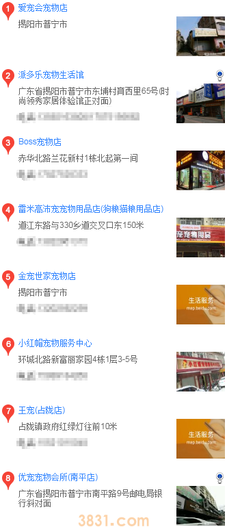 普宁哪里有边境牧羊犬买(图2)