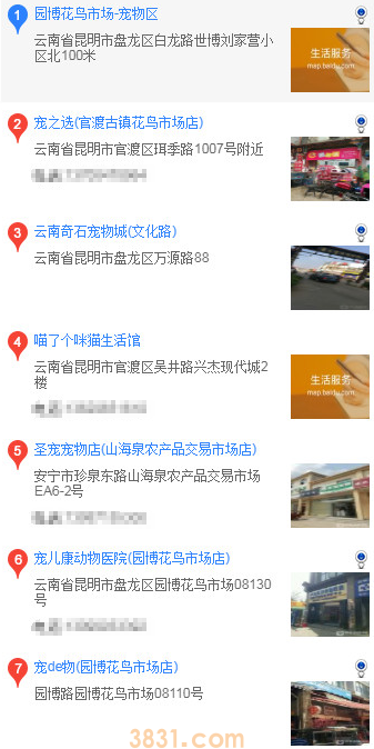 昆明怎么买博美(图1)